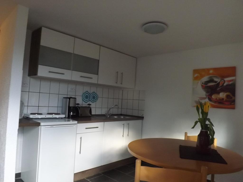 Wehlener Landhaus In Stadt Wehlen, Saechsische Schweiz Номер фото